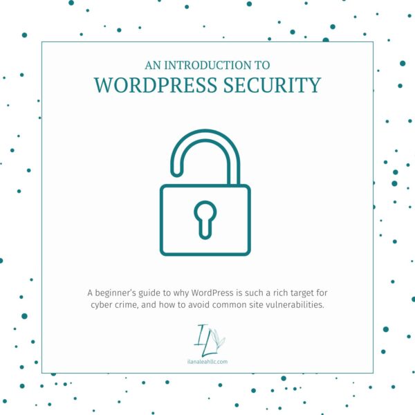 An Introduction to WordPress Security instant download PDF ebook